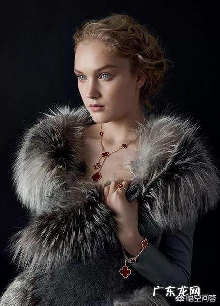 梵克雅宝的四叶草为什么那么受欢迎?