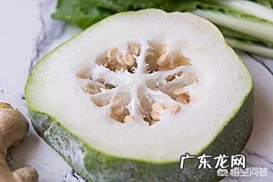 冬瓜有哪些营养价值?
