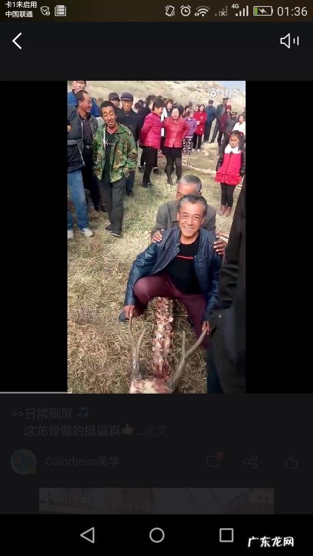 刚看到朋友圈里发的“龙骨”这是什么情况?