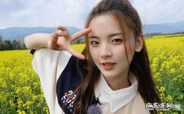 杨超越为什么会火？靠的什么？