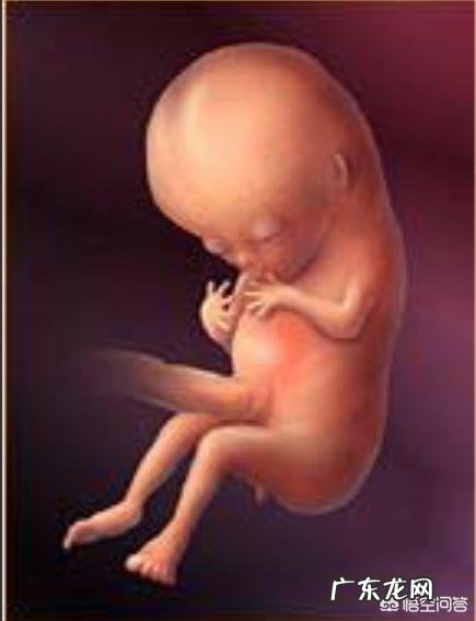 怀孕两个月,吃什么吐什么,怎样可以改善呢?