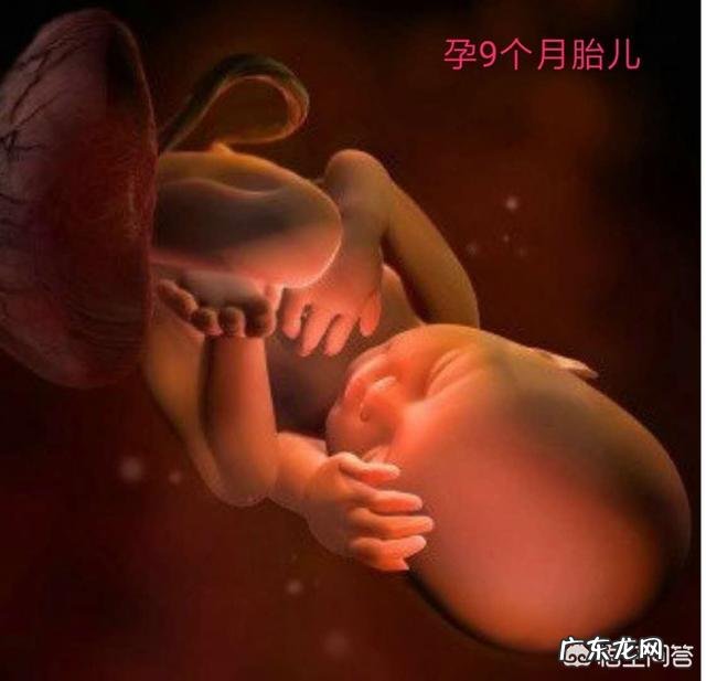 怀孕是9个月还是10个月后才生产?