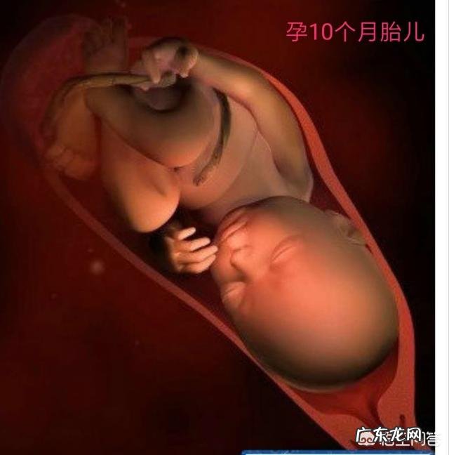 怀孕是9个月还是10个月后才生产?