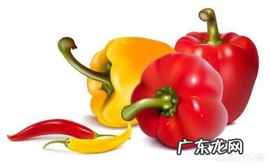 含维生素C高的蔬菜有哪几种?