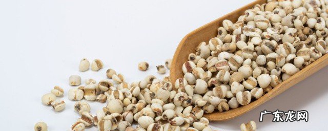 除湿气8种食物熬粥