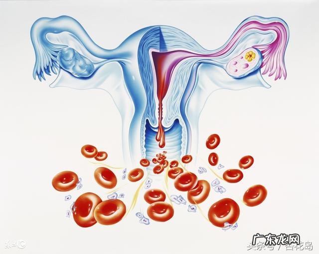 排卵期有褐色的分泌物排出,这正常吗?