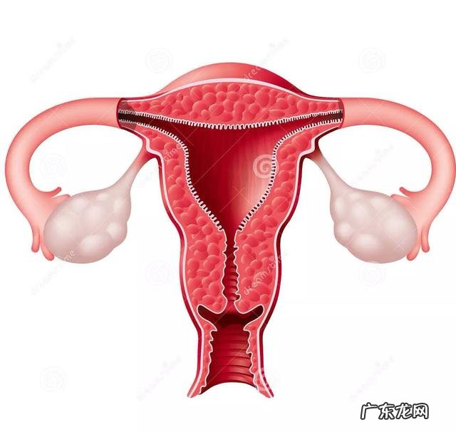 排卵期有褐色的分泌物排出,这正常吗?