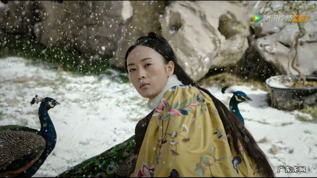 如懿传贵妃什么时候下线