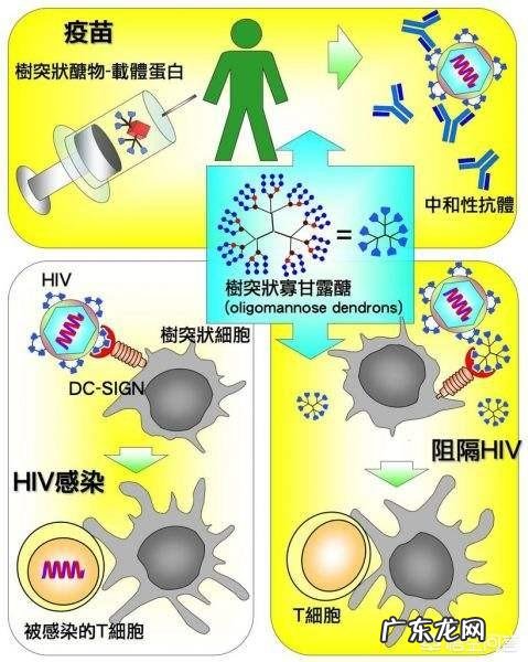 你怎么看美国研发新型艾滋病疫苗，猴子注射后部分免疫；疫苗问世会有什么影响？
