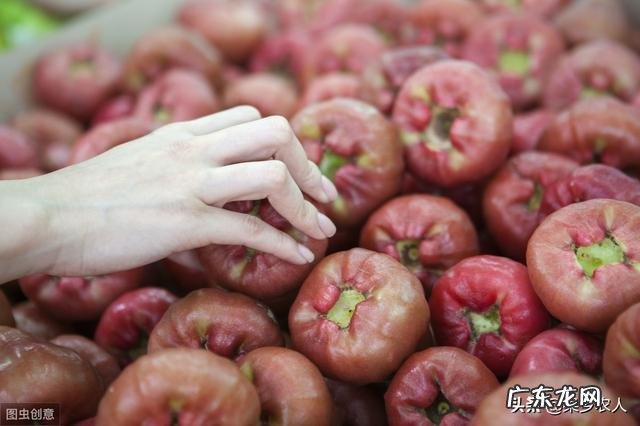 莲雾为什么销量不高?