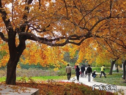 农村俗语“立秋不到秋，天凉白露后”是什么意思？立秋了还会很热吗？