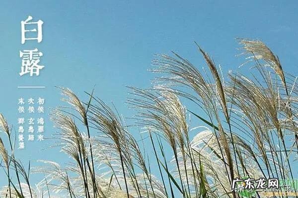 农村俗语“立秋不到秋，天凉白露后”是什么意思？立秋了还会很热吗？