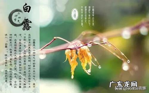 农村俗语“立秋不到秋，天凉白露后”是什么意思？立秋了还会很热吗？