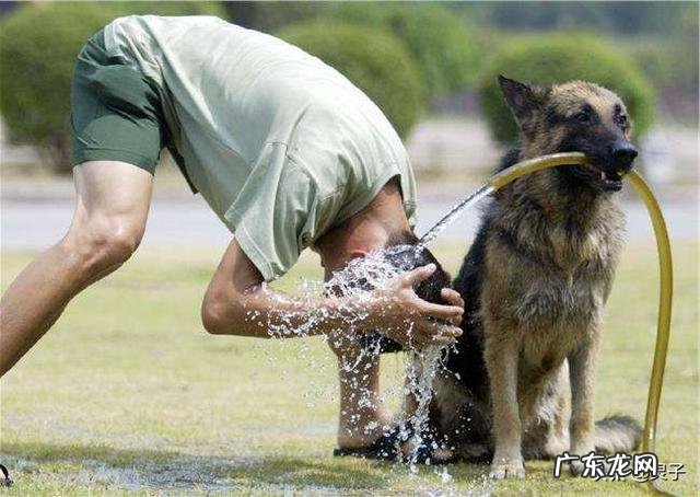 农村俗语“立秋不到秋，天凉白露后”是什么意思？立秋了还会很热吗？