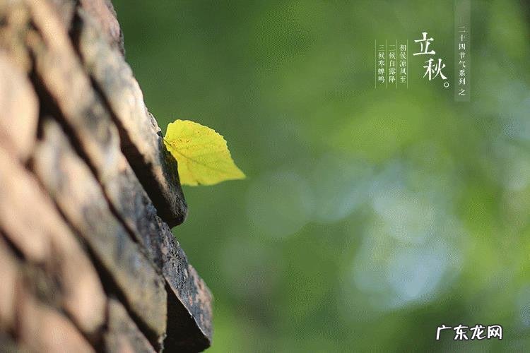 农村俗语“立秋不到秋，天凉白露后”是什么意思？立秋了还会很热吗？