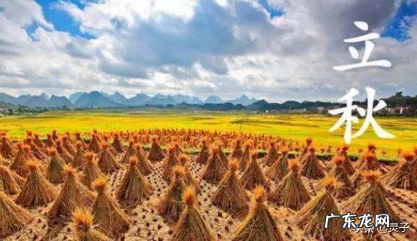 农村俗语“立秋不到秋，天凉白露后”是什么意思？立秋了还会很热吗？