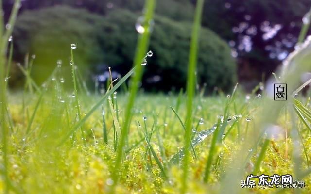 农村俗语“立秋不到秋，天凉白露后”是什么意思？立秋了还会很热吗？