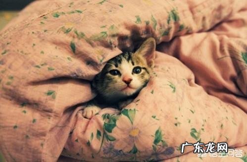 睡眠时间长好,还是深度睡眠好?