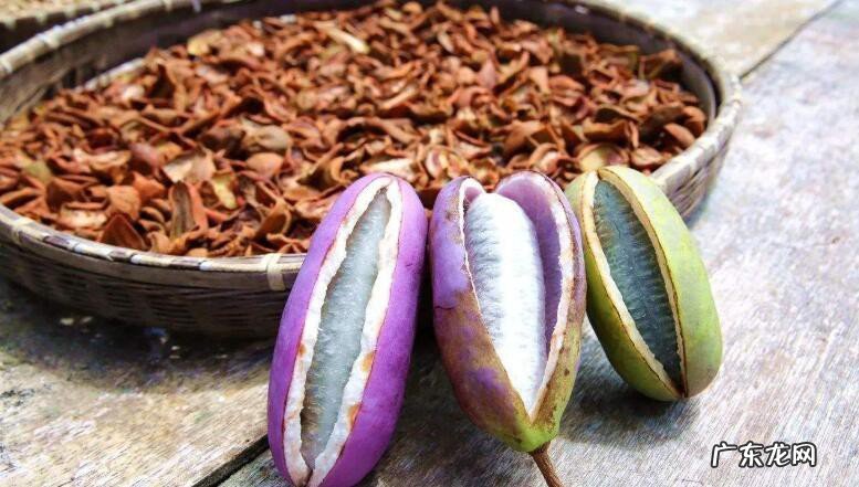 八月瓜的籽可以吃吗