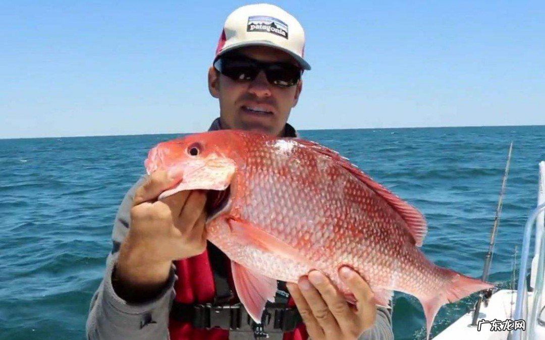 东南风钓鱼好吗