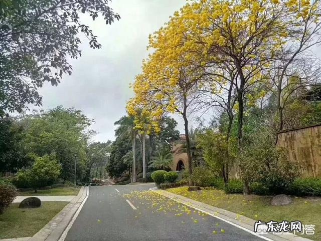 老年人应怎样安排作息时间?