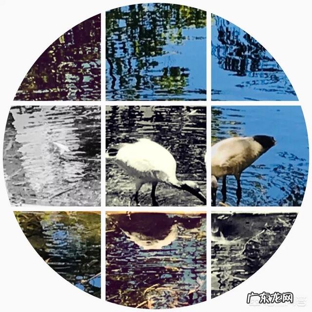 老年人应怎样安排作息时间？