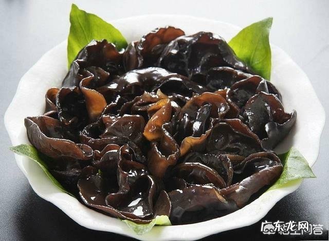 天天吃木耳最大的好处是什么?