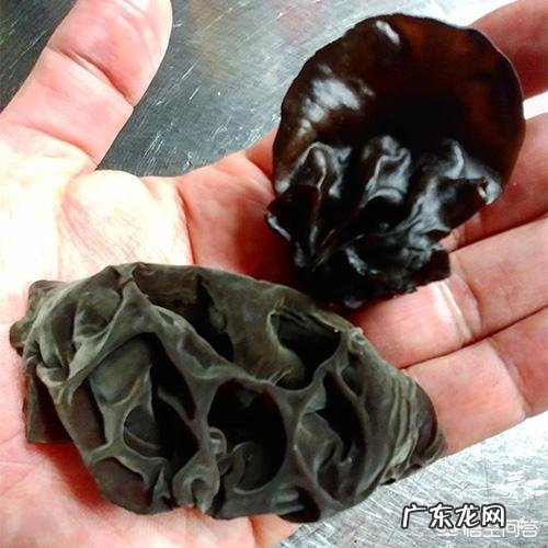 天天吃木耳最大的好处是什么?