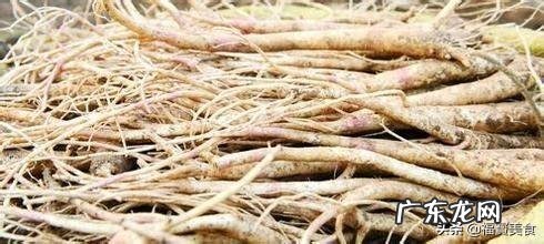 你家乡的野菜都怎么吃?