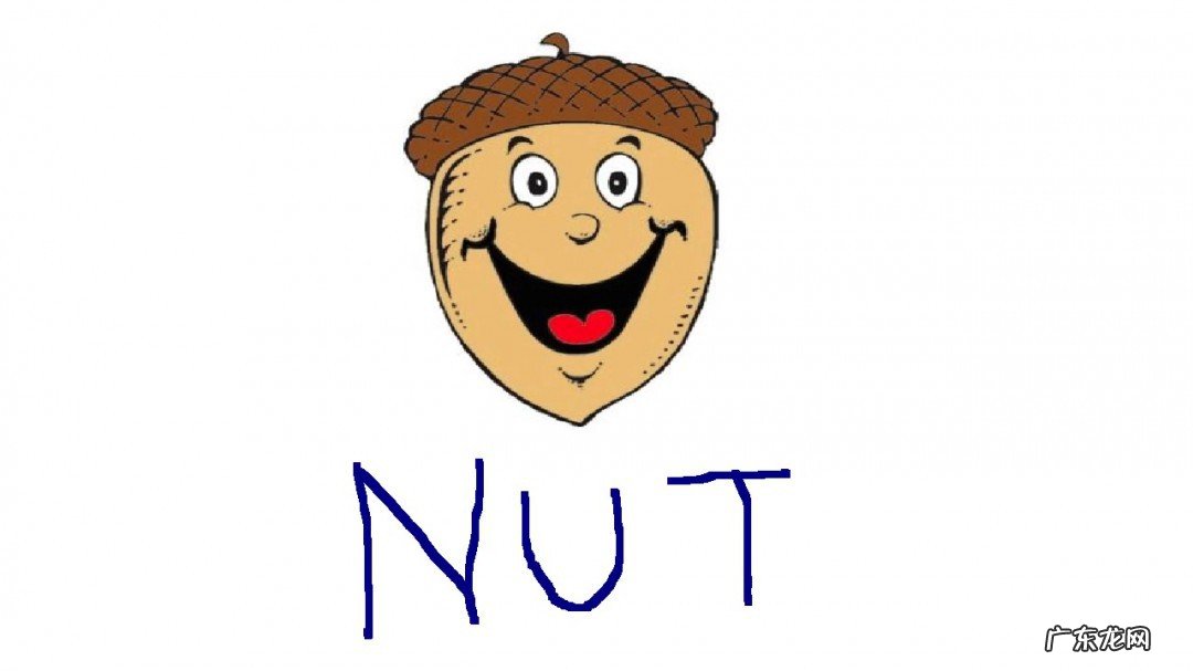 lz什么意思网络用语