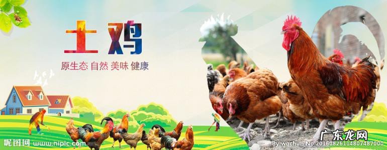 朋友圈卖鸡广告词