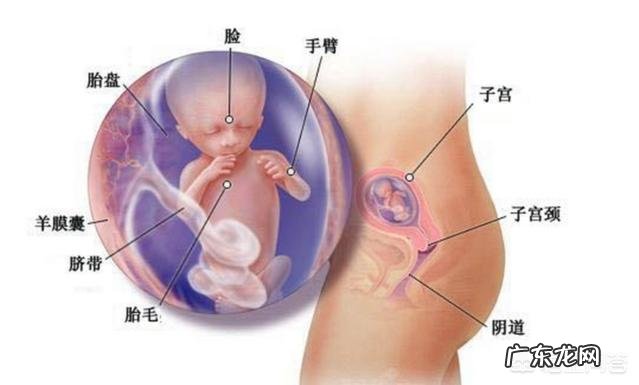 怀孕15周了应该注意什么?