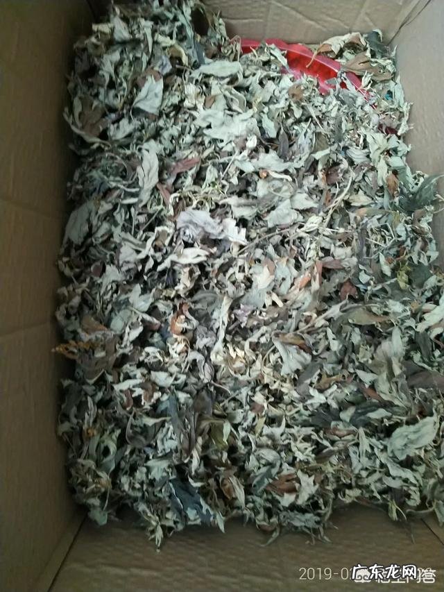 艾绒怎样做成艾条?