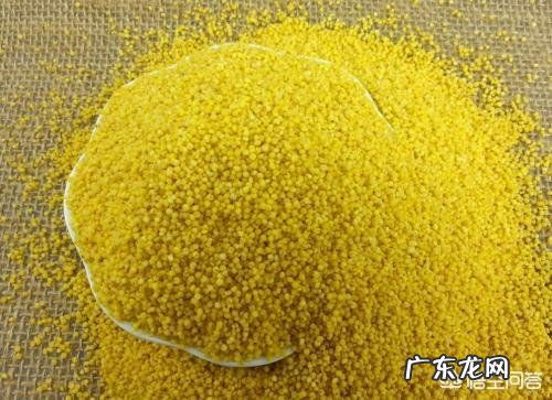 产妇坐月子时,吃什么食物比较好?