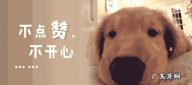 宫外孕有那些症状?