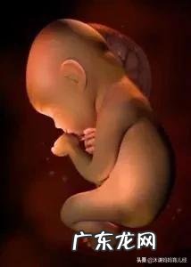 怀孕9个月胎宝宝有哪些变化,应该注意什么?