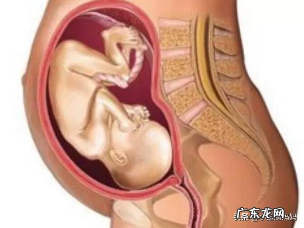 怀孕9个月胎宝宝有哪些变化,应该注意什么?