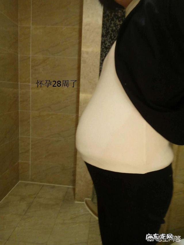 怀孕28周胎儿体重多少斤?