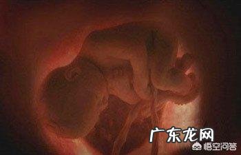 怀孕28周胎儿体重多少斤?