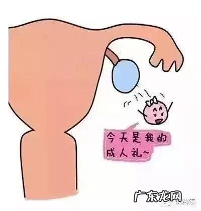 “双胞胎”胎儿是怎么形成的?