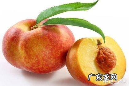 孕妇能不能吃桃子?为什么?