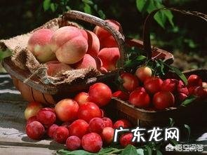 孕妇能不能吃桃子？为什么？