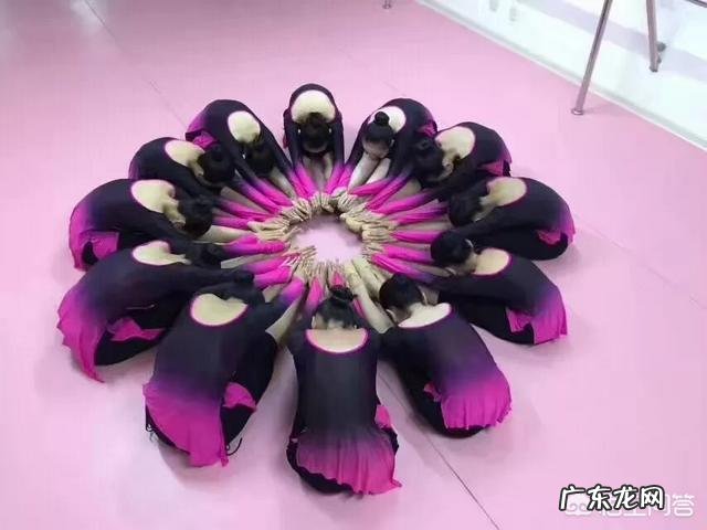 孩子学舞蹈比较苦,你会让她继续坚持吗?