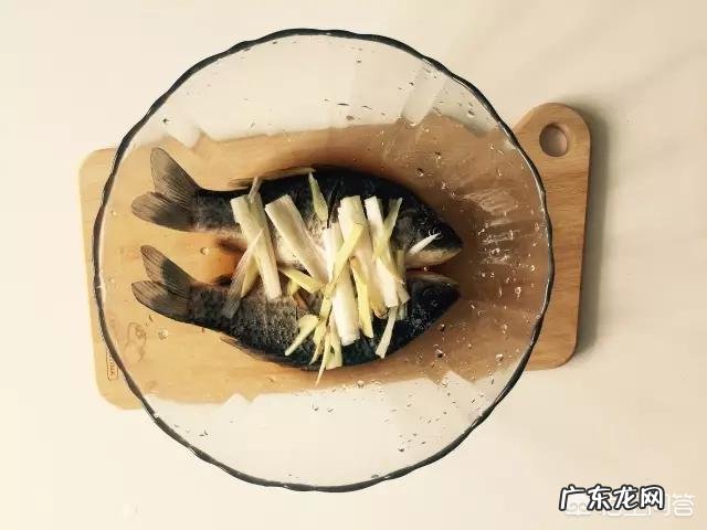 什么鱼汤最有营养?