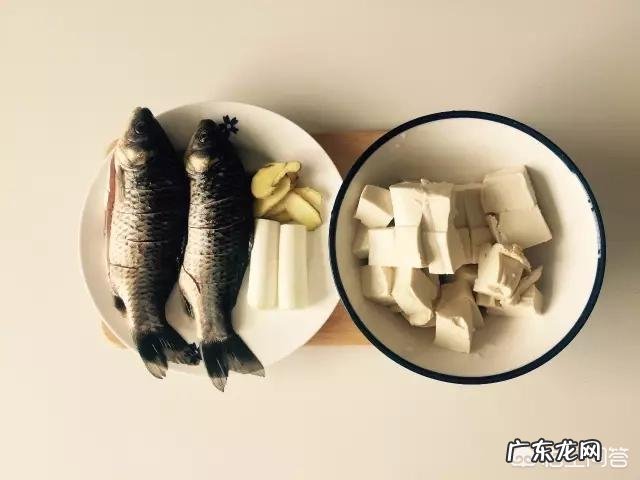 什么鱼汤最有营养?