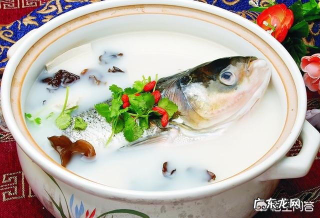 什么鱼汤最有营养?