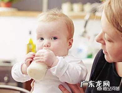 吸收好营养也高的奶粉有哪些?