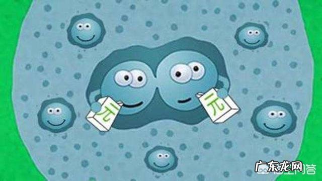 吸收好营养也高的奶粉有哪些?