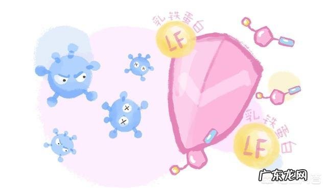 吸收好营养也高的奶粉有哪些?