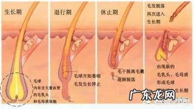 女生如何自己在家脱毛?